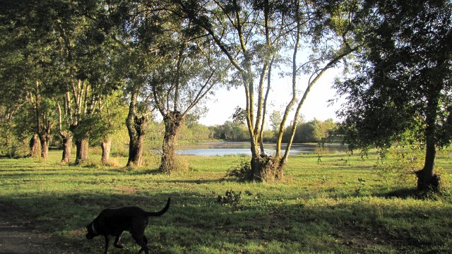 Rochefort sur loire (94)